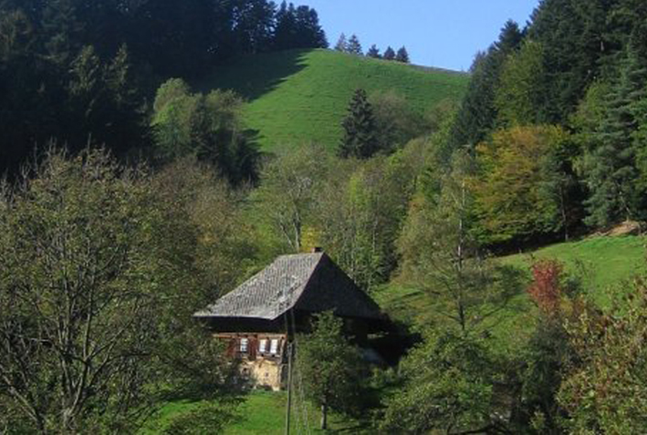 Berghusle
          Hinterbauernhof