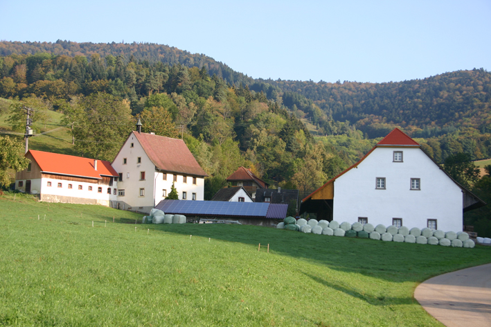 Heinihof