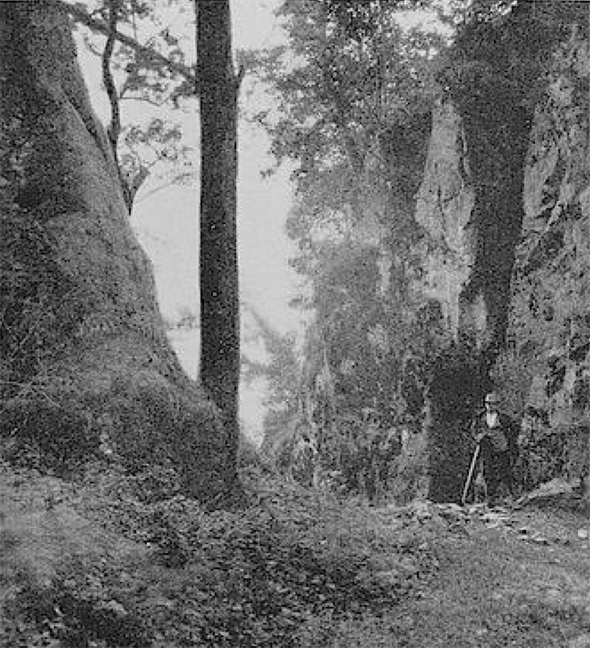 Blick
              von Nordwesten in den Halsgraben. Phot. H. Lay