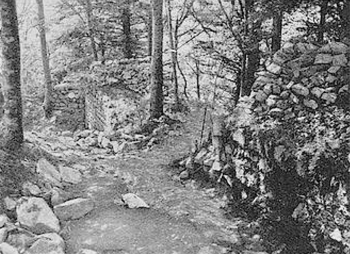 Blick
              auf die Sd- und Westwand des Innenraumes im Langhaus.
              Phot. Prof. Maehler.