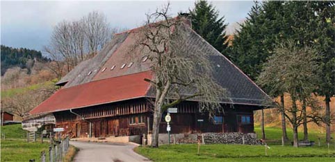 Fussehof1.jpg