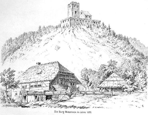 Wiesneck7
